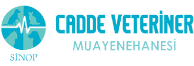 biVet